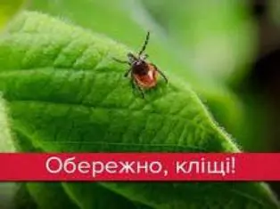 ЗАПИТАЙМО В ЛІКАРЯ. Обережно, кліщі